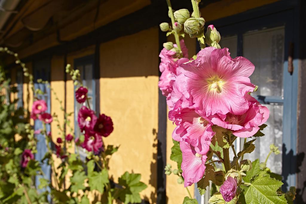 Mollegade 1 Holiday House Нордборг Екстериор снимка
